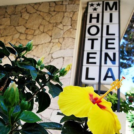 Hotel Milena Rimini Kültér fotó