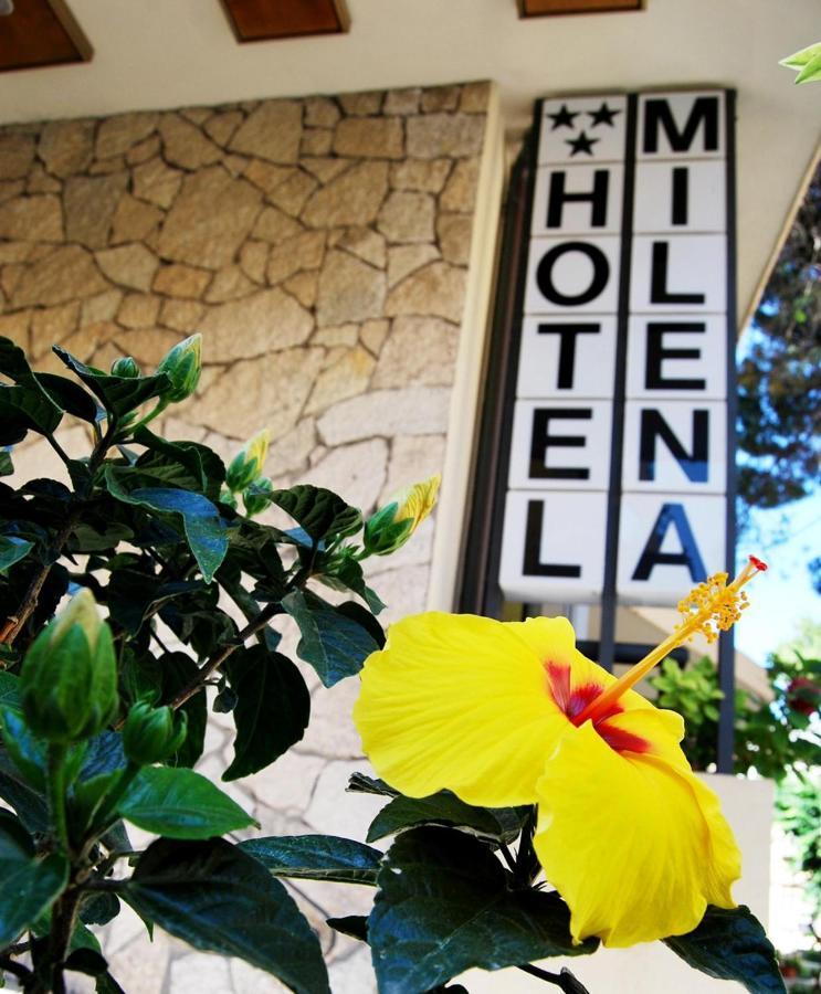 Hotel Milena Rimini Kültér fotó